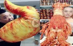 中日韩吃海鲜视频播放,视频播放量揭秘