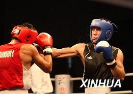 鲨鱼亚洲拳王视频,激战巅峰，热血沸腾的拳坛传奇